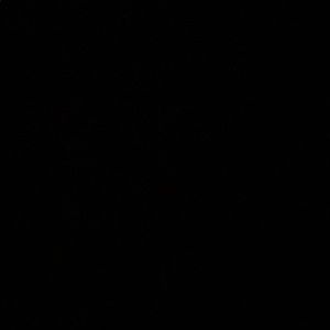 Meet your Posher, Avery